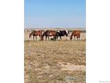 37506 County Road 69 - Photo 28