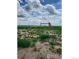 37506 County Road 69 - Photo 31