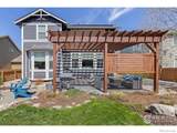248 Muscovey Lane - Photo 34