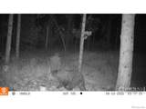 188 Snake Lake Drive - Photo 24