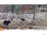 188 Snake Lake Drive - Photo 26