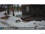 188 Snake Lake Drive - Photo 28