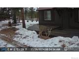 188 Snake Lake Drive - Photo 29