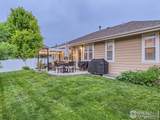 3216 66th Ave Ct - Photo 24