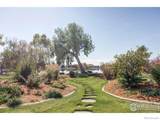 9402 Crystal Lane - Photo 31