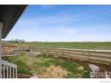 583 Olive Street - Photo 34