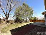 2432 Tyrrhenian Drive - Photo 31