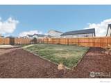 1485 Lotus Drive - Photo 29
