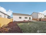 1485 Lotus Drive - Photo 30