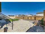 521 Evans Avenue - Photo 25