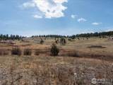 102 Spruce Mountain Drive - Photo 37