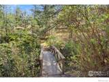 7301 Poudre Canyon Road - Photo 29