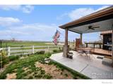 2190 Coyote Creek Drive - Photo 21