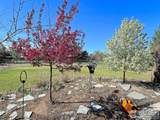 5532 Pawnee Lane - Photo 38