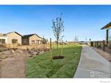 3437 Green Lake Drive - Photo 23
