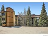 755 Columbine Road - Photo 36