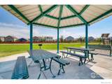 975 Cascade Falls Street - Photo 18