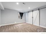 9674 Joplin Street - Photo 19
