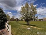 9674 Joplin Street - Photo 28