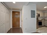 5120 Williams Fork Trail - Photo 17
