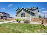 5128 Odessa Lake Street - Photo 3