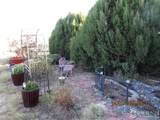 13969 County Road 33 - Photo 24