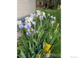 2219 27th Avenue - Photo 38