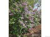 2219 27th Avenue - Photo 39