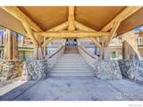6553 Sunshine Canyon Drive - Photo 3