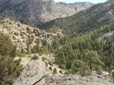  Mountain Pony Road - Photo 6