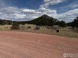  Mountain Pony Road - Photo 7