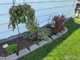 409 Cleveland Street - Photo 11