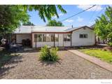 500 Holly Avenue - Photo 3