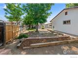 500 Holly Avenue - Photo 5