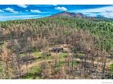 1448 Spruce Mountain Drive - Photo 11