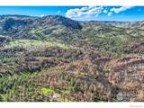 1448 Spruce Mountain Drive - Photo 12