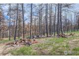 1448 Spruce Mountain Drive - Photo 14