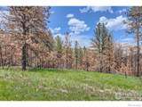1448 Spruce Mountain Drive - Photo 15