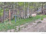 1448 Spruce Mountain Drive - Photo 16