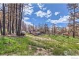 1448 Spruce Mountain Drive - Photo 18