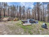 1448 Spruce Mountain Drive - Photo 22
