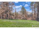 1448 Spruce Mountain Drive - Photo 28