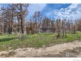 1448 Spruce Mountain Drive - Photo 29