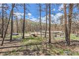 1448 Spruce Mountain Drive - Photo 31