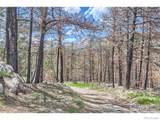 1448 Spruce Mountain Drive - Photo 35