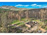 1448 Spruce Mountain Drive - Photo 5