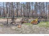 1448 Spruce Mountain Drive - Photo 8