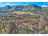 1448 Spruce Mountain Drive - Photo 10