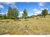 166 Red Cloud Peak Court - Photo 6
