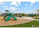 966 Cascade Falls Street - Photo 20